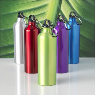 Logotrade promotional merchandise image of: Oregon 770 ml aluminium water bottle with carabiner