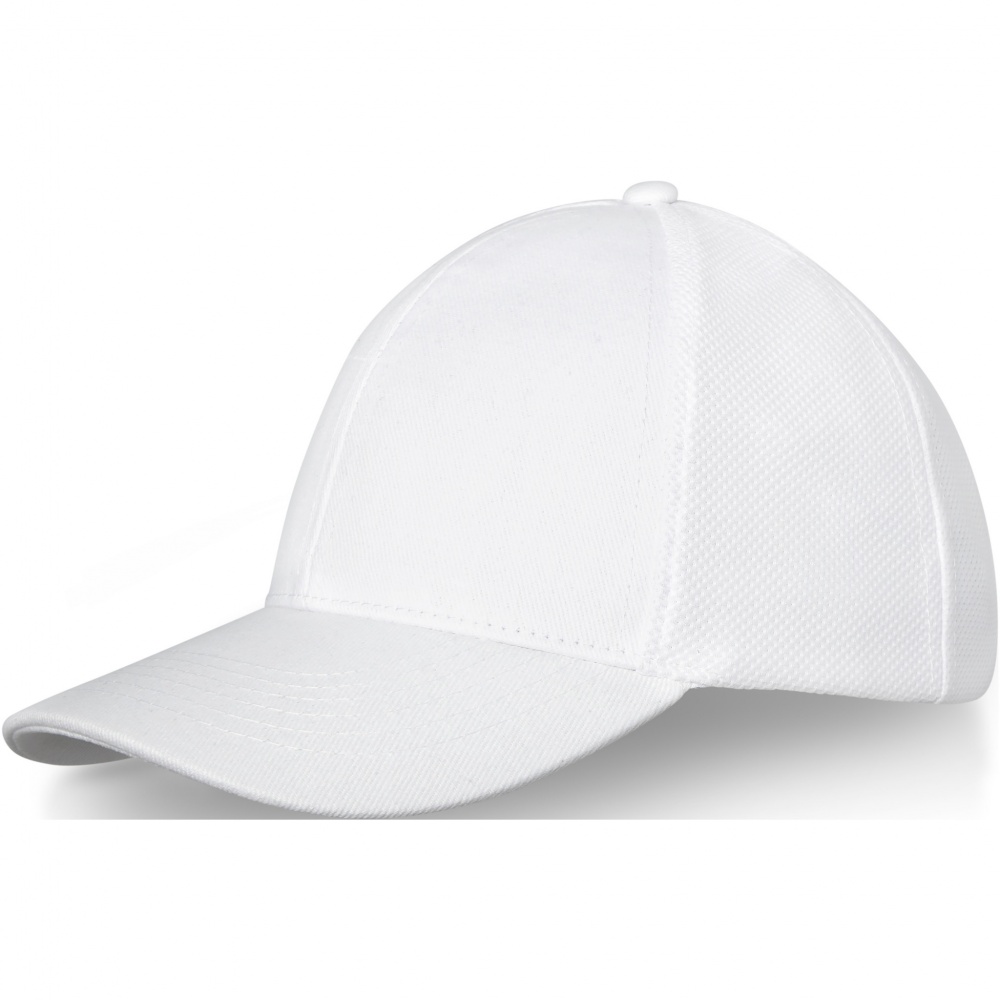 Logo trade promotional gifts picture of: Drake 6 panel trucker cap