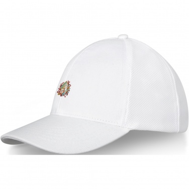 Logotrade advertising product image of: Drake 6 panel trucker cap