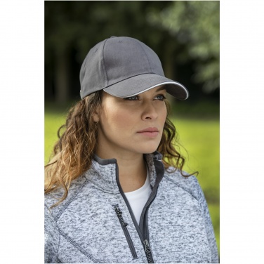 Logo trade promotional giveaways picture of: Darton 6 panel sandwich cap