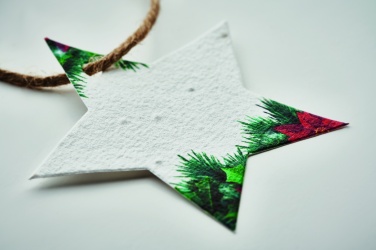 Logo trade promotional merchandise photo of: Seed paper Xmas ornament