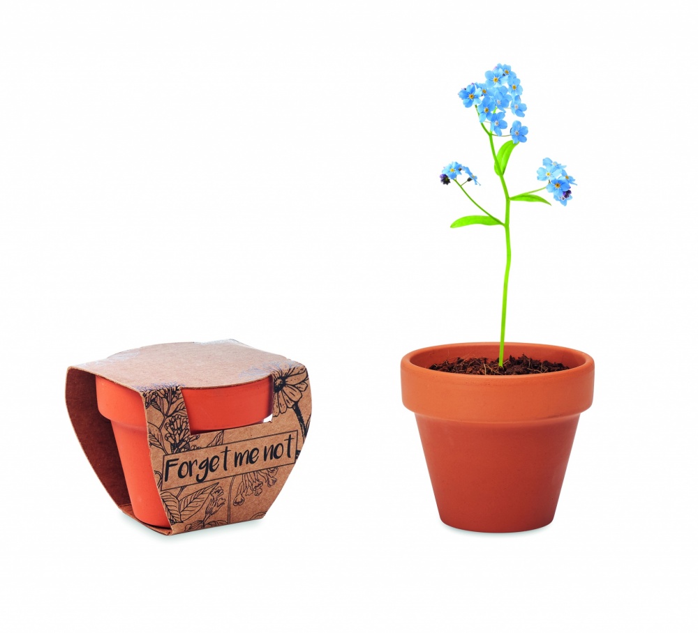 Logo trade promotional giveaway photo of: Terracotta pot 'forget me not'