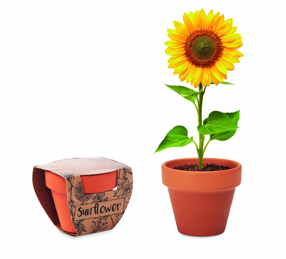 Logotrade promotional merchandise picture of: Terracotta pot 'sunflower'