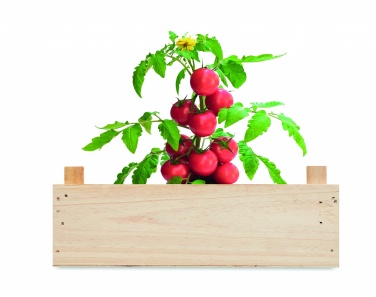 Logotrade promotional items photo of: Tomato kit in wooden crate