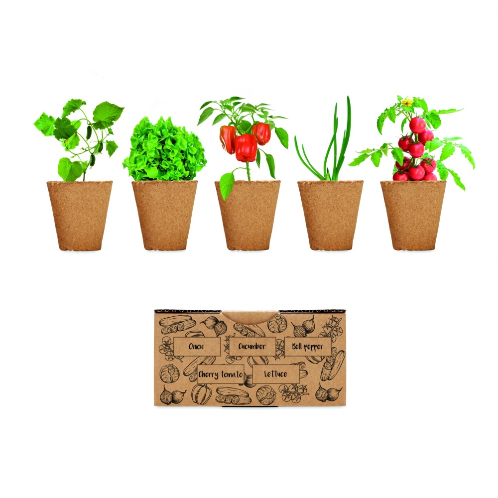 Logo trade promotional gift photo of: Salad growing kit