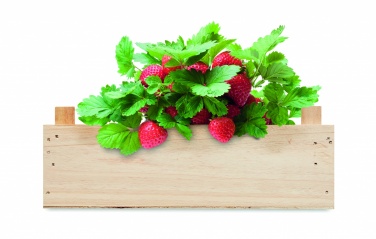 Logotrade corporate gift image of: Strawberry kit in wooden crate