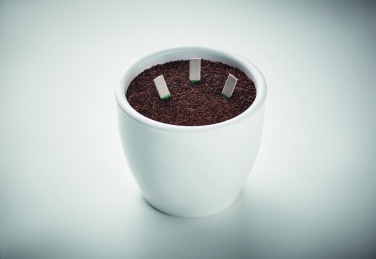 Logotrade promotional product image of: Herb seeds sticks