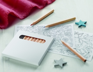 Logotrade advertising products photo of: Drawing adult set