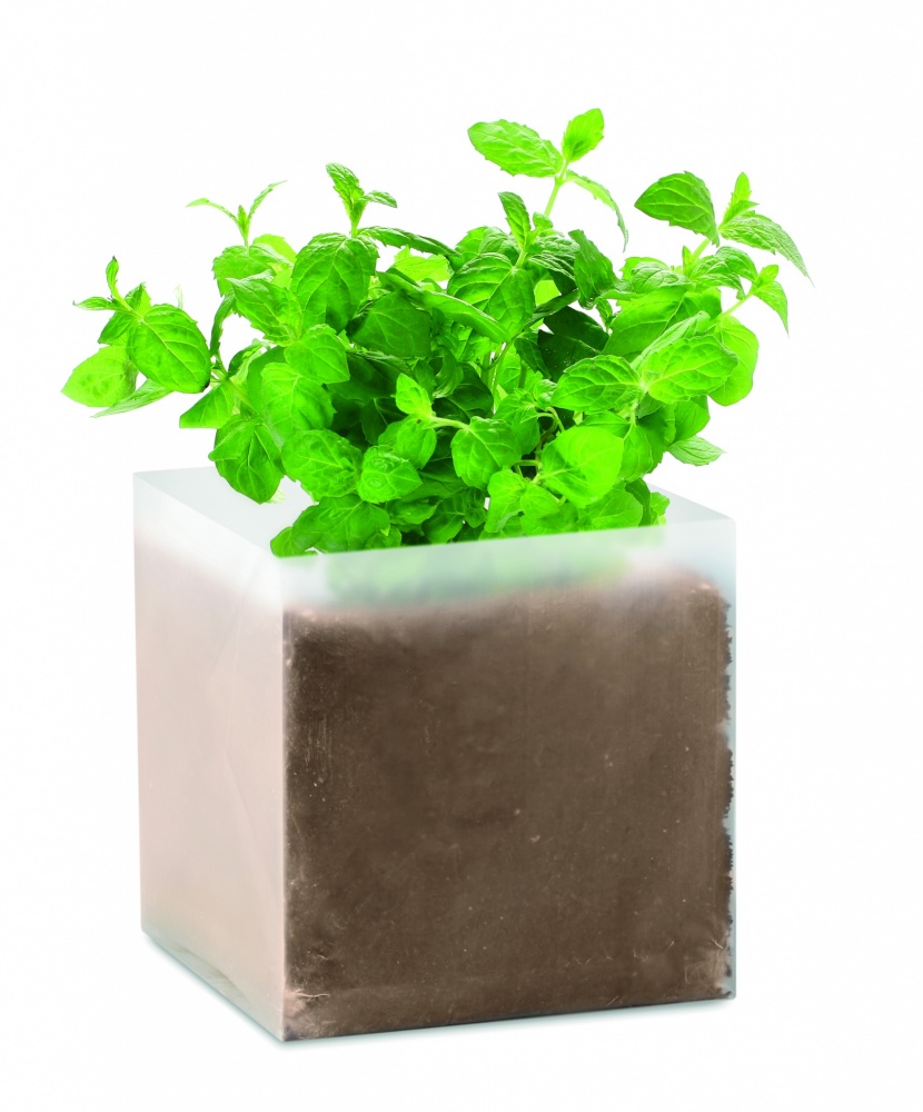 Logotrade business gift image of: Compost with seeds "MINT"