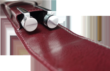Logo trade promotional gifts image of: Pen case 236019