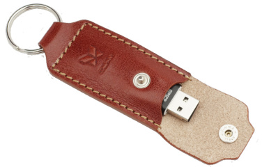 Logo trade promotional products image of: Keyring 874067