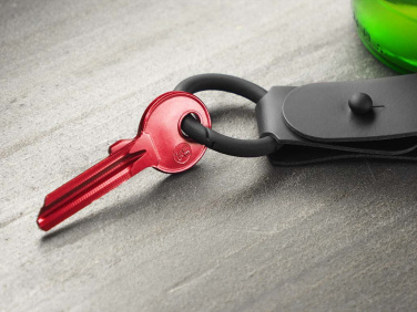 Logo trade promotional gift photo of: Keyring 1709094