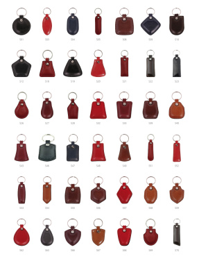 Logotrade promotional giveaway picture of: Keyring 178011