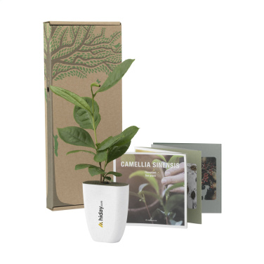 Logotrade promotional merchandise photo of: Treemore Letterbox Trees Tea plant