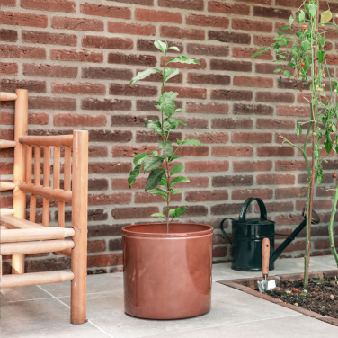 Logotrade promotional gift image of: Treemore Letterbox Trees Tea plant