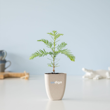 Logo trade promotional product photo of: Treemore Letterbox Trees Giant Sequoia