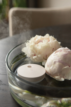 Logotrade promotional item image of: Breevia RCS rplasic re-chargeable floating humidifier