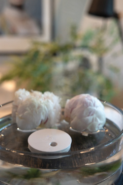 Logo trade promotional items image of: Breevia RCS rplasic re-chargeable floating humidifier