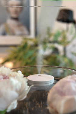 Logo trade promotional item photo of: Breevia RCS rplasic re-chargeable floating humidifier