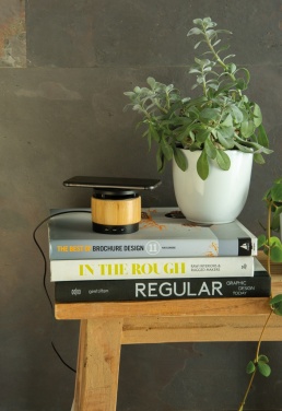 Logotrade firmakingi foto: Bambusest juhtmevaba laadija kõlar