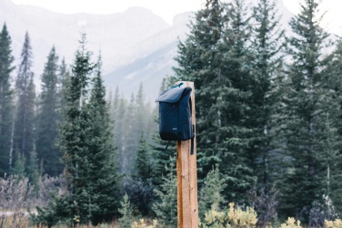 Logo trade ärikingitused foto: Swiss Peak Fern AWARE™ RPET 15,6-tolline tõmblukuga seljakott