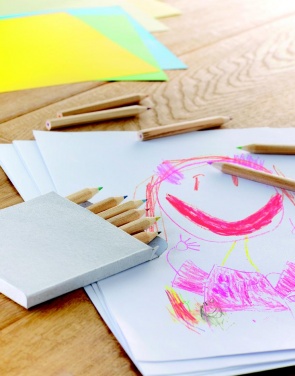 Logotrade ärikingituse foto: 12 värvilise pliiatsi komplekti