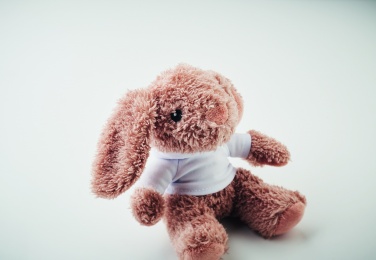 Logotrade reklaamtooted pilt: Mängujänes kapuutsiga pluusiga