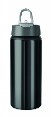 Logotrade meened pilt: Alumiiniumpudel 600 ml