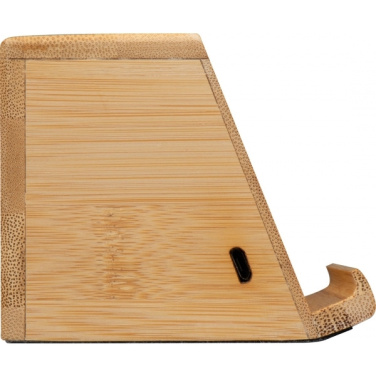 Logo trade reklaamkingituse pilt: Induktsioonkõlar NÜREMBERG