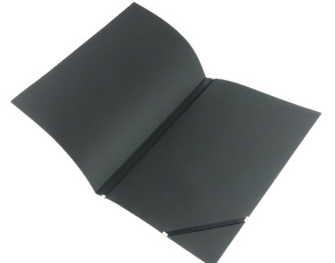 Logotrade firmakingi foto: Diplomi kaaned 152094