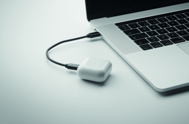 Logotrade ärikingitused pilt: CAWATT 4 in 1 kaabli pistikute komplekt 15W