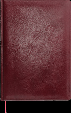 Logotrade liikelahja mainoslahja kuva: Kalenteri 642131