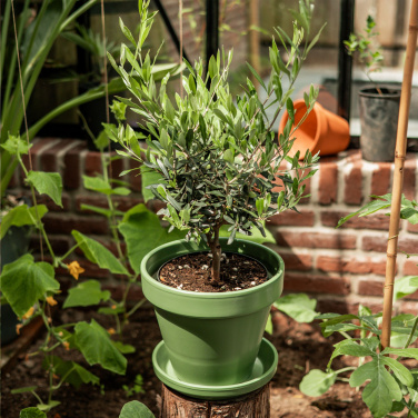 Logotrade liikelahja mainoslahja kuva: Treemore Letterbox Trees Olive