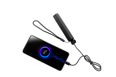 Логотрейд pекламные подарки картинка: Flashflight ZAGROS Шварцвольф